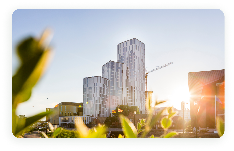 Monadnock Environmental Case Study